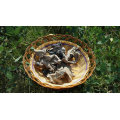 Dried Black Fungus with White Back